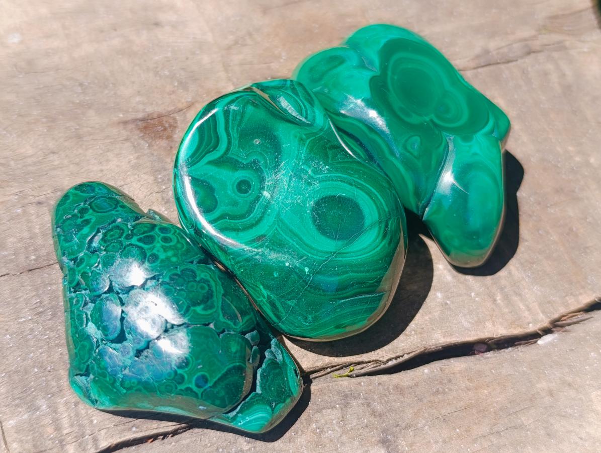 Polished Flower Banded Malachite Free Forms x 12 From Congo