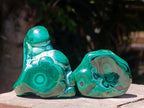 Polished Flower Banded Malachite Free Forms x 12 From Congo