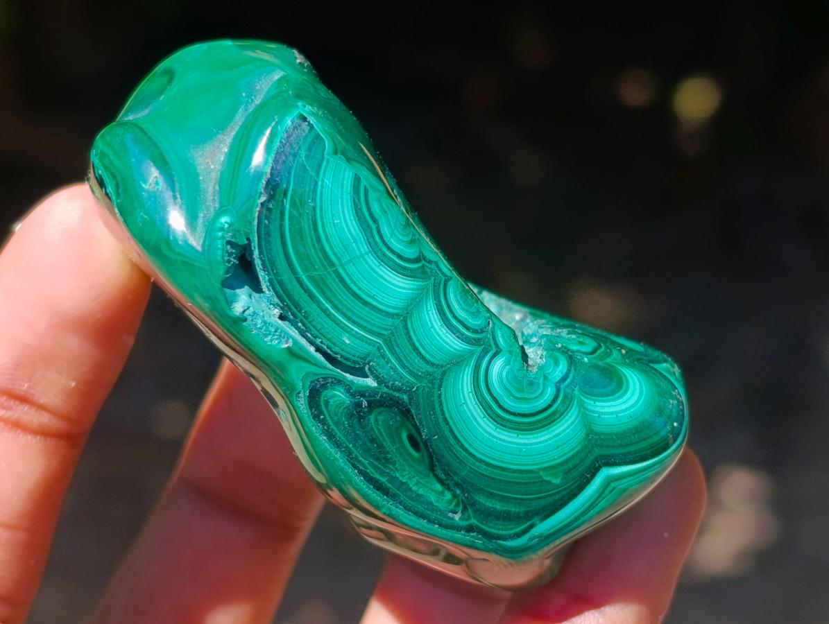Polished Flower Banded Malachite Free Forms x 12 From Congo