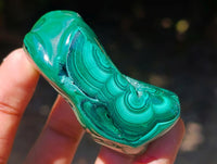 Polished Flower Banded Malachite Free Forms x 12 From Congo