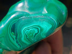 Polished Flower Banded Malachite Free Forms x 12 From Congo
