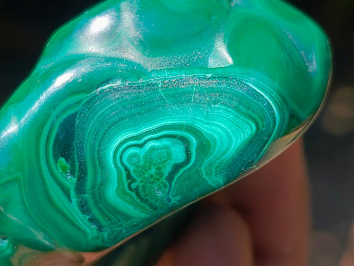 Polished Flower Banded Malachite Free Forms x 12 From Congo