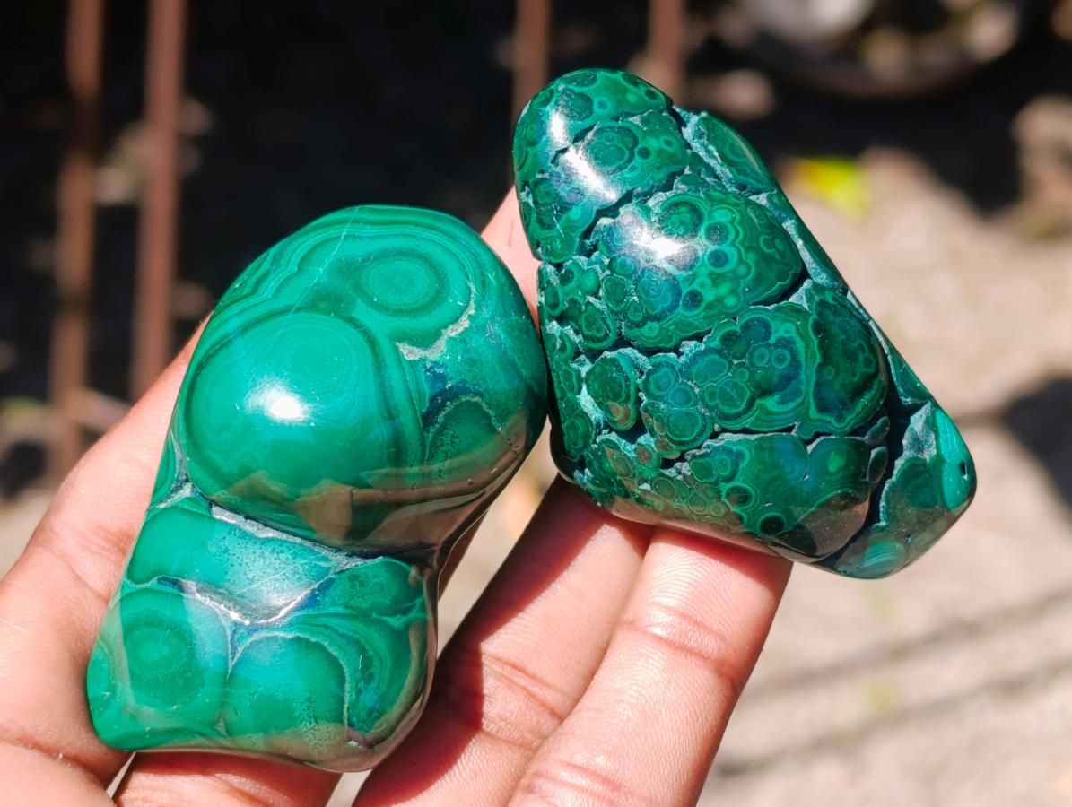 Polished Flower Banded Malachite Free Forms x 12 From Congo