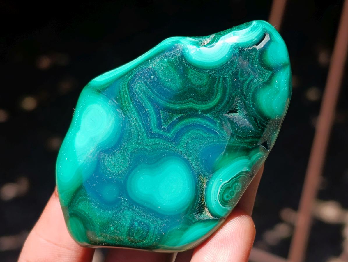 Polished Flower Banded Malachite Free Forms x 12 From Congo