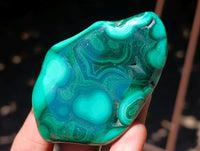 Polished Flower Banded Malachite Free Forms x 12 From Congo