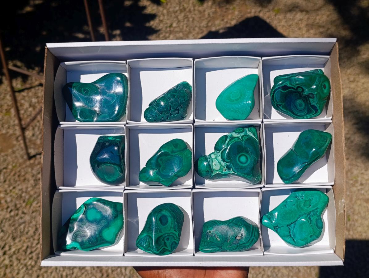 Polished Flower Banded Malachite Free Forms x 12 From Congo