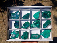 Polished Flower Banded Malachite Free Forms x 12 From Congo