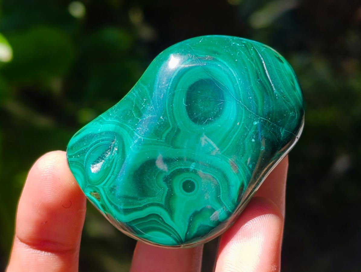 Polished Flower Banded Malachite Free Forms x 12 From Congo