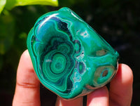 Polished Flower Banded Malachite Free Forms x 12 From Congo