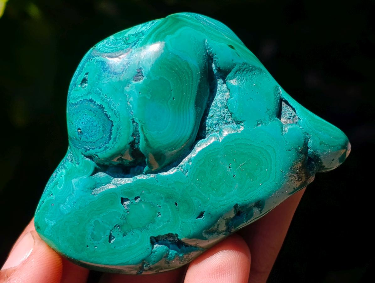 Polished Flower Banded Malachite Free Forms x 12 From Congo