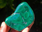 Polished Flower Banded Malachite Free Forms x 12 From Congo