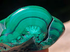 Polished Flower Banded Malachite Free Forms x 12 From Congo