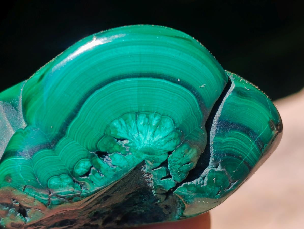 Polished Flower Banded Malachite Free Forms x 12 From Congo