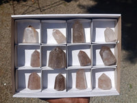 Polished Rutilated Quartz Crystals x 12 From Madagascar