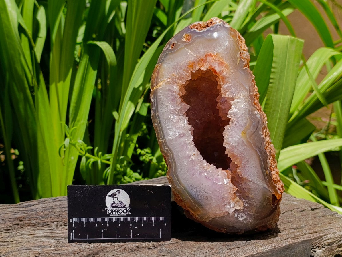 Polished Large Agate with Crystalline Geode x 1 From Maintirano, Madagascar
