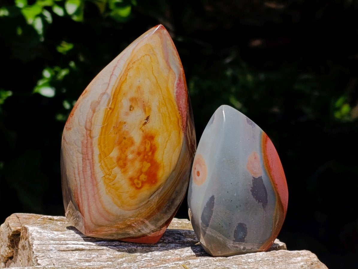 Polished Polychrome Jasper Flames x 6 From NW Coast, Madagascar