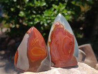 Polished Polychrome Jasper Flames x 6 From NW Coast, Madagascar