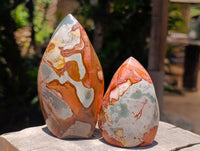 Polished Polychrome Jasper Flames x 6 From NW Coast, Madagascar