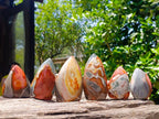 Polished Polychrome Jasper Flames x 6 From NW Coast, Madagascar