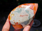 Polished Polychrome Jasper Flames x 6 From NW Coast, Madagascar