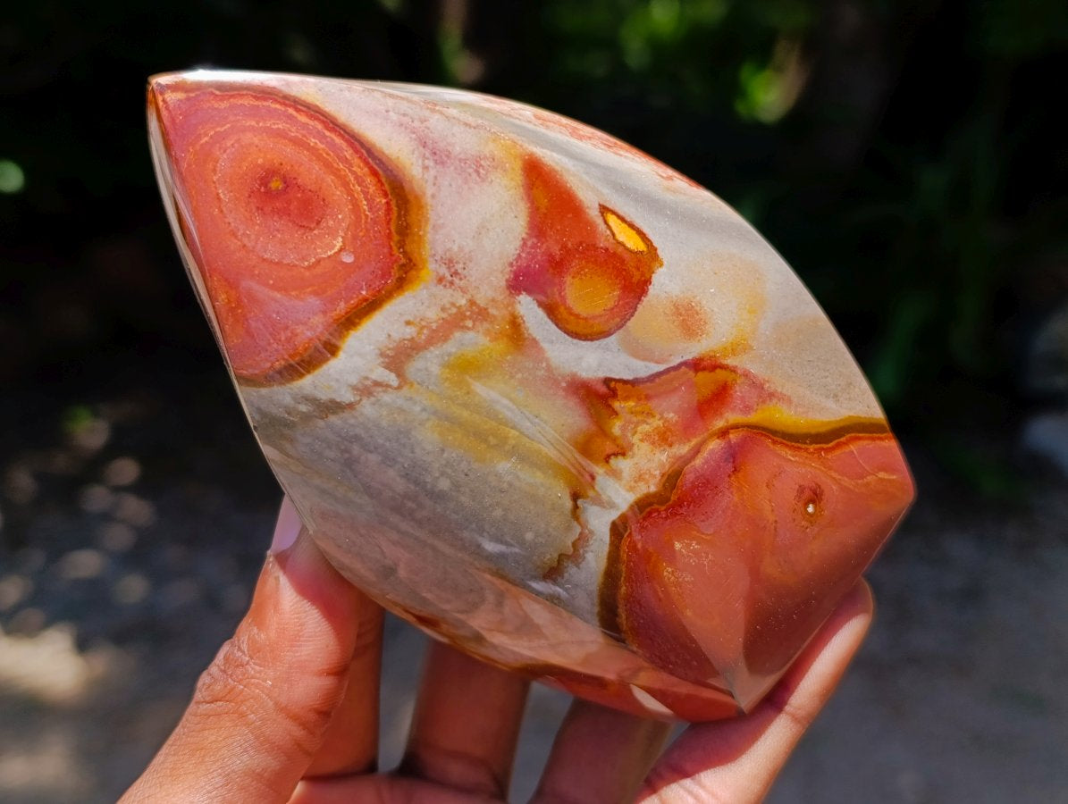 Polished Polychrome Jasper Flames x 6 From NW Coast, Madagascar