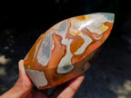 Polished Polychrome Jasper Flames x 6 From NW Coast, Madagascar