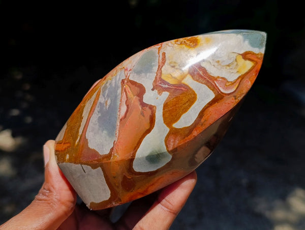 Polished Polychrome Jasper Flames x 6 From NW Coast, Madagascar