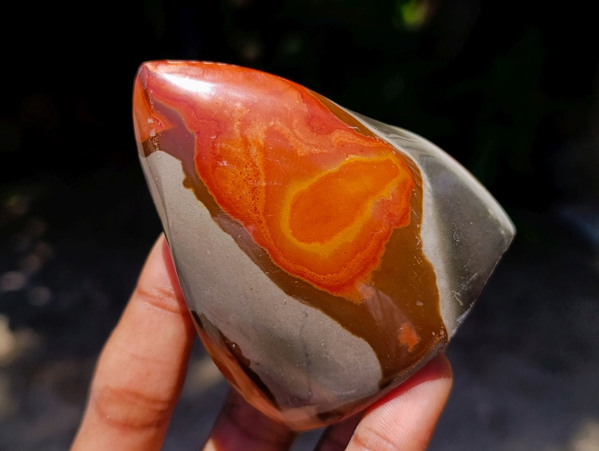Polished Polychrome Jasper Flames x 6 From NW Coast, Madagascar