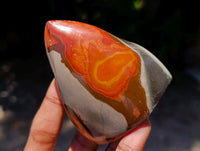Polished Polychrome Jasper Flames x 6 From NW Coast, Madagascar