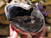 Polished Septerye Sauvage "Dragons Egg" Geode x 4 From Mahajanga, Madagascar