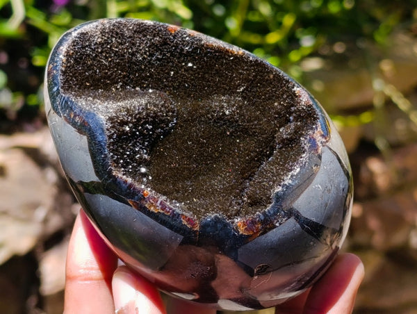 Polished Septerye Sauvage 