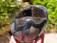 Polished Septerye Sauvage "Dragons Egg" Geode x 4 From Mahajanga, Madagascar