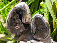 Polished Septerye Sauvage "Dragons Egg" Geode x 4 From Mahajanga, Madagascar