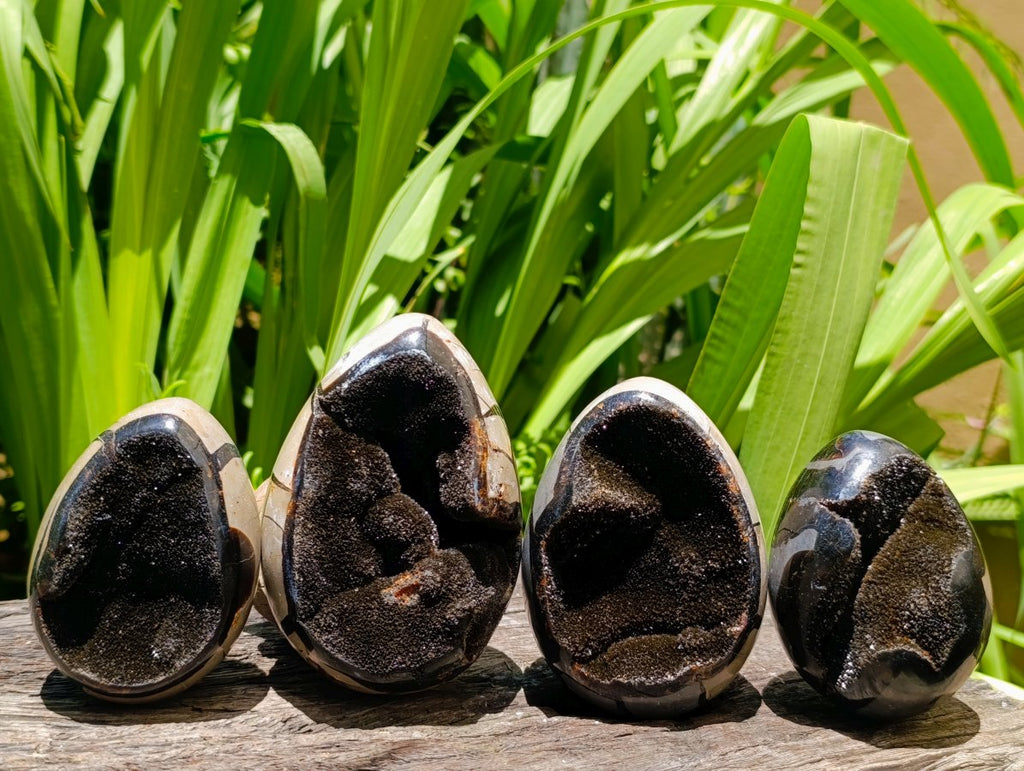 Polished Septerye Sauvage "Dragons Egg" Geode x 4 From Mahajanga, Madagascar
