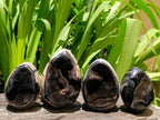 Polished Septerye Sauvage "Dragons Egg" Geode x 4 From Mahajanga, Madagascar
