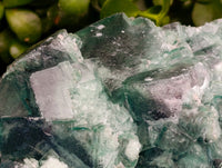 Natural XL Cubic Green Fluorite Cluster Specimen x 1 From Mandrosonoro, Madagascar