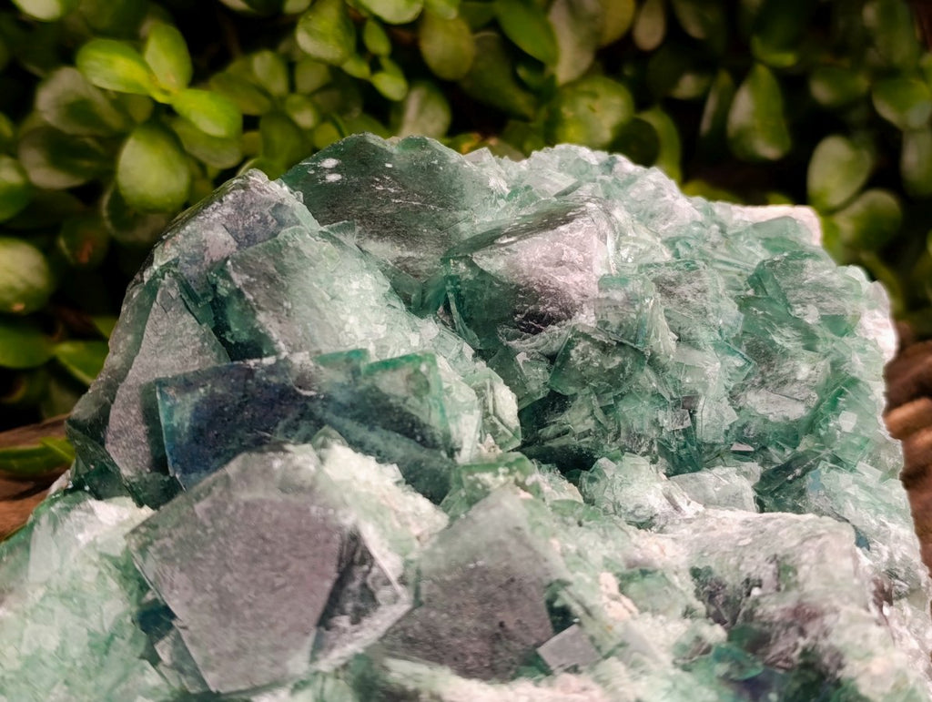 Natural XL Cubic Green Fluorite Cluster Specimen x 1 From Mandrosonoro, Madagascar