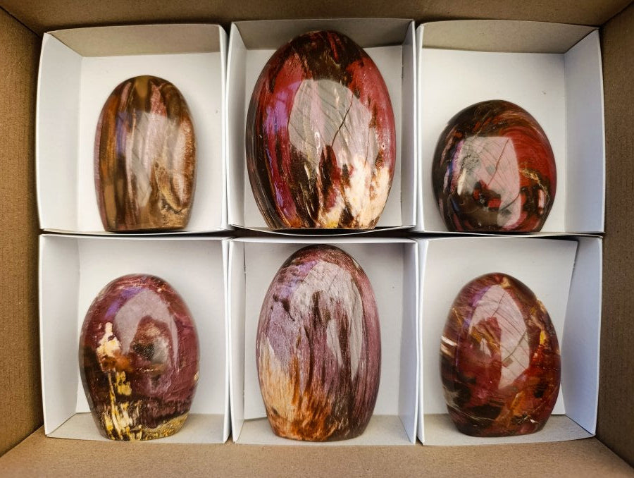Polished Red Podocarpus Petrified Wood Standing Free Forms x 6 From Mahajanga, Madagascar
