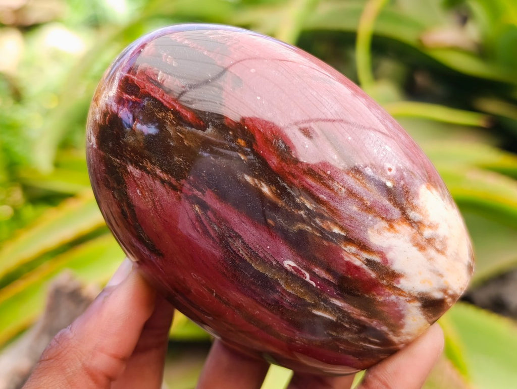 Polished Red Podocarpus Petrified Wood Standing Free Forms x 6 From Mahajanga, Madagascar