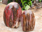 Polished Red Podocarpus Petrified Wood Standing Free Forms x 6 From Mahajanga, Madagascar
