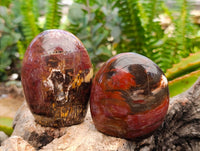 Polished Red Podocarpus Petrified Wood Standing Free Forms x 6 From Mahajanga, Madagascar