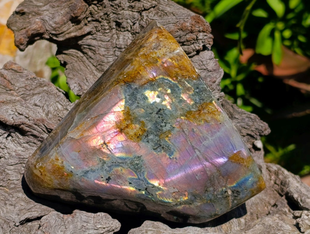 Polished Rare Purple Sunset Flash Labradorite Standing Free Forms x 2 From Madagascar