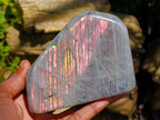 Polished Rare Purple Sunset Flash Labradorite Standing Free Forms x 2 From Madagascar