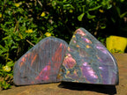 Polished Rare Purple Sunset Flash Labradorite Standing Free Forms x 2 From Madagascar