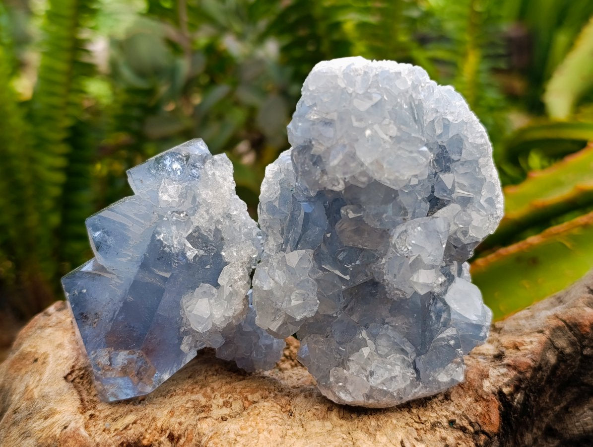 Natural Blue Celestite Crystal Cluster Specimens x 22 From Sakoany, Madagascar