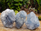 Natural Blue Celestite Crystal Cluster Specimens x 22 From Sakoany, Madagascar