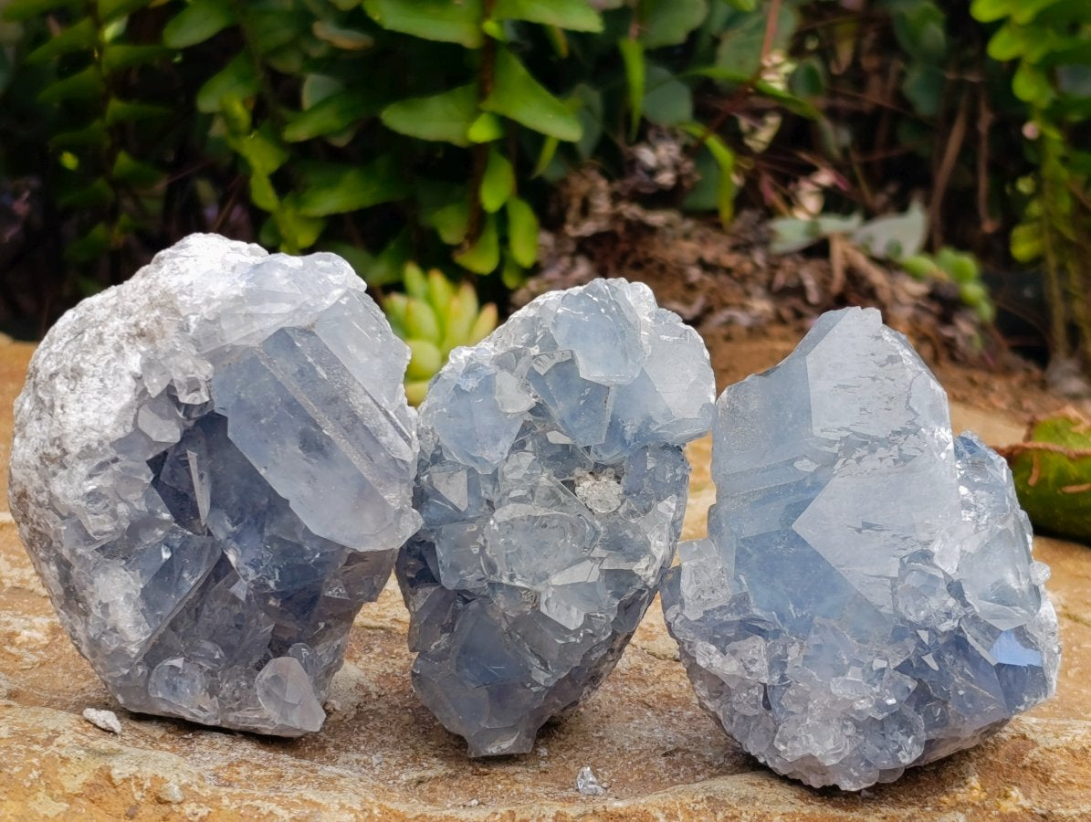 Natural Blue Celestite Crystal Cluster Specimens x 22 From Sakoany, Madagascar