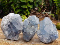 Natural Blue Celestite Crystal Cluster Specimens x 22 From Sakoany, Madagascar