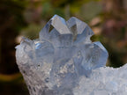 Natural Blue Celestite Crystal Cluster Specimens x 22 From Sakoany, Madagascar