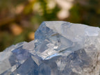 Natural Blue Celestite Crystal Cluster Specimens x 22 From Sakoany, Madagascar